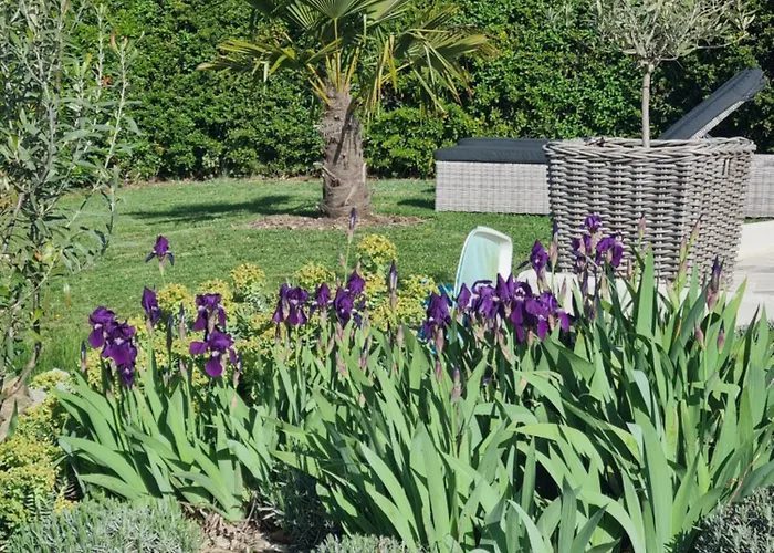 Mas Tulipe de Soie